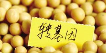 俄羅斯嚴格管制轉(zhuǎn)基因食品 違法生產(chǎn)和進口將面臨罰款