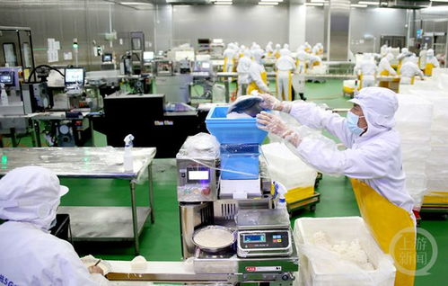 重慶首個5g數字食品工廠在西部 重慶 科學城投產